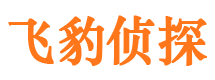 淄川市场调查